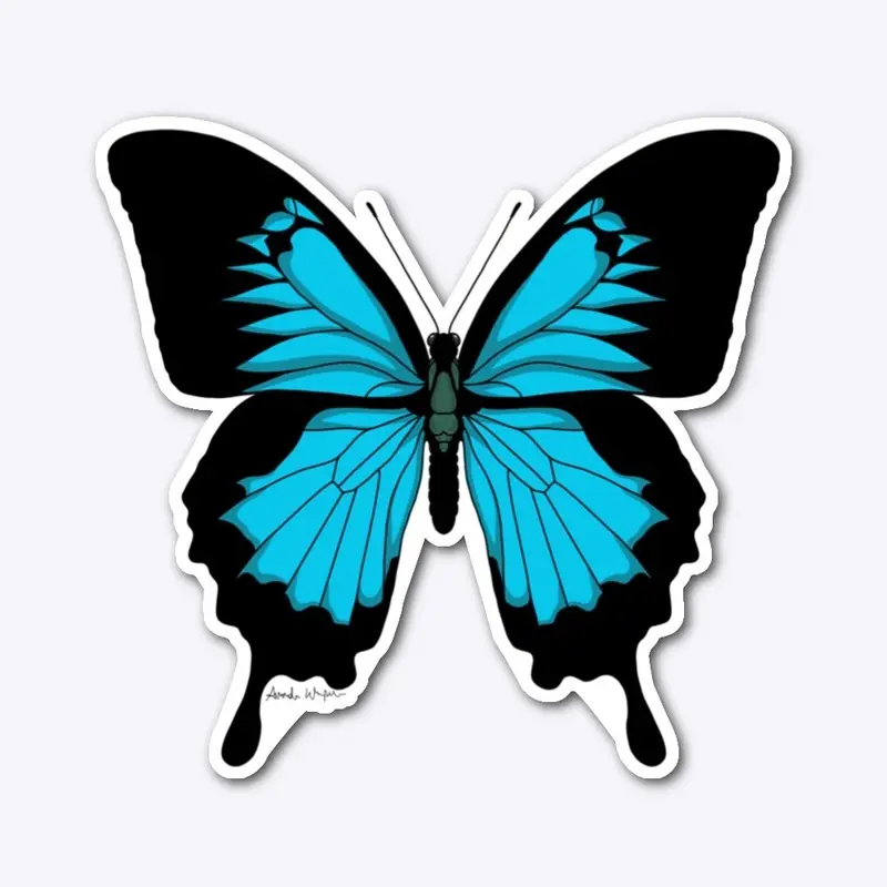 Morpho Butterfly